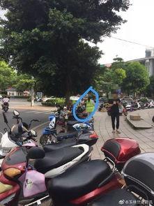 玉林凯旋广场最新爆料,揭秘神秘商业综合体全貌  第2张